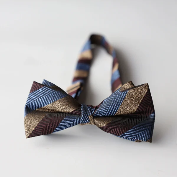 Papion elegant pentru barbati, MENZ®, model The Gentleman’s Mark, prelegat, ajustabil, maro/albastru deschis + cutie de papion