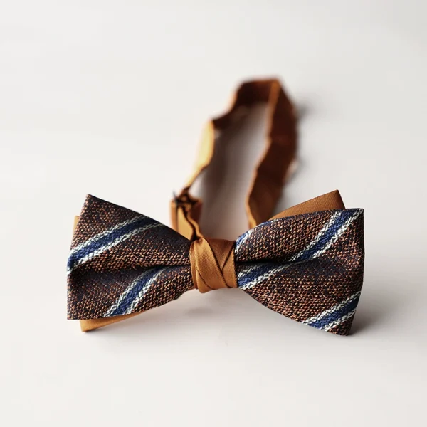 Papion elegant pentru barbati, MENZ®, model The Gentleman’s Mark, prelegat, ajustabil, caramiziu/albastru + cutie de papion