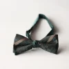 Papion elegant pentru barbati, MENZ®, model The Gentleman’s Mark, prelegat, ajustabil, vernil/bej + cutie de papion