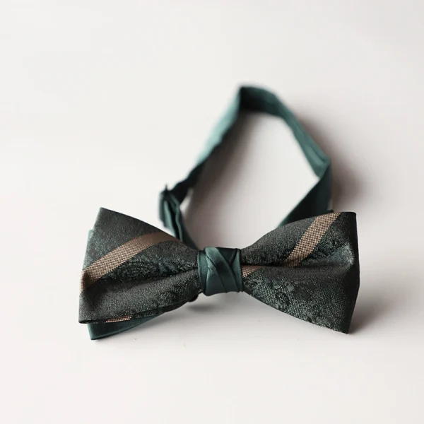 Papion elegant pentru barbati, MENZ®, model The Gentleman’s Mark, prelegat, ajustabil, vernil/bej + cutie de papion